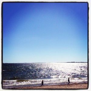 Sandhamn 2013