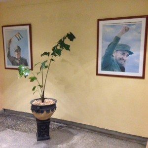 Fidel på hotell, Havanna